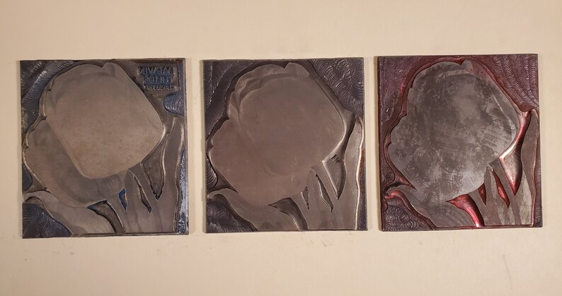 3 Clara Bull Tulips ~ Decor Accents Vtg Etching Engraved Metal Printing Machine Press Plate Stamp Botanical Floral Flowers