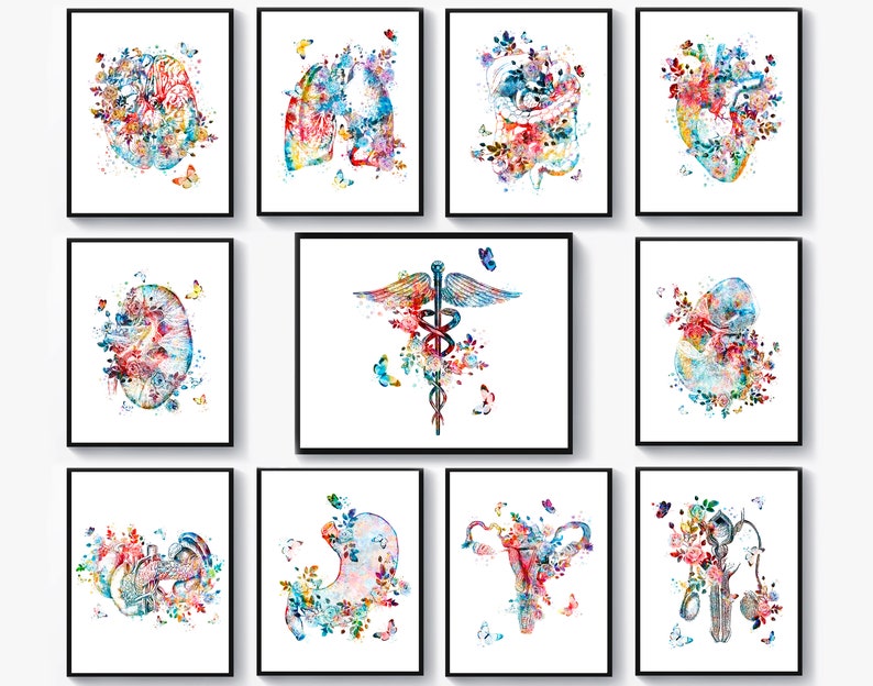 11 Watercolor Anatomy Artworks Medical Diagnostics Art Human Internal ...