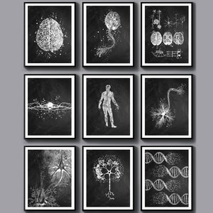 9 Neurology Drawings Medical Chalkboard Art Science Art Neurologist Gift Nervous System Poster Synapse Art Neuron Cell Art Human Brain Art