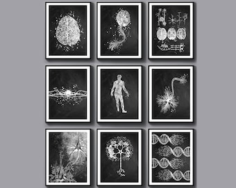 9 Neurology Drawings Medical Chalkboard Art Science Art Neurologist Gift Nervous System Poster Synapse Art Neuron Cell Art Human Brain Art