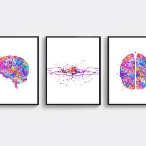 3 Anatomy Art Neurology Art Anatomical Brain Print Neuron Cell Poster Medical Art Science Art Neurologist Gift Scientist Gift Neurosurgeon