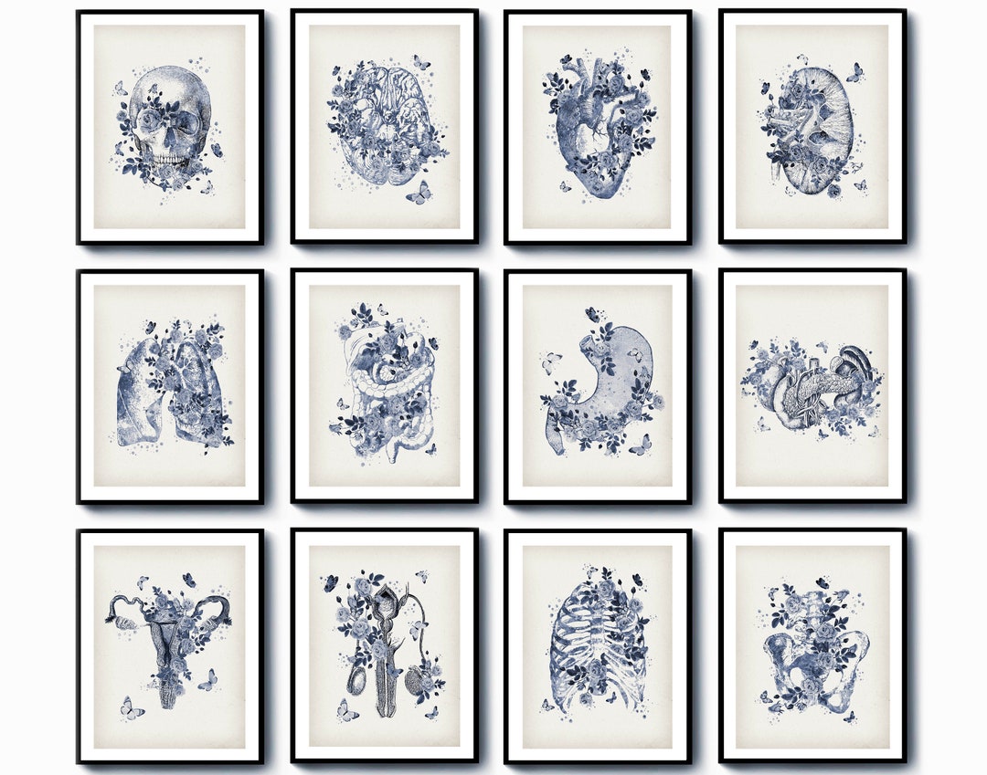 Set 12 Watercolor Anatomy Art Medical Art Anatomical Organs Painting ...