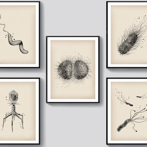 5 Microbiology Bacteria Art Posters Science Art Biologist Gift Microbe Art Microorganism Art Medical Art Med Laboratory Wall Decor
