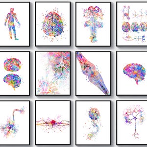 12 Neuroscience Art Posters Neurological Art Cognitive Biology Art Human Brain Art Nervous System Drawing Synapse Art Neuron Art Science Art