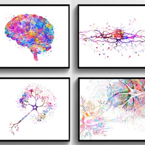 4 Neurologist Gift Anatomy Art Brain Print Medical Art Neuron Art Nerve Cell Art Synapse Art Neurology Art Science Art Doctor Office Decor