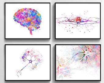 4 Regalos para neurólogos, anatomía, cerebro, arte médico, neurona, célula nerviosa, sinapsis, neurología, ciencia, decoración de consultorio médico.