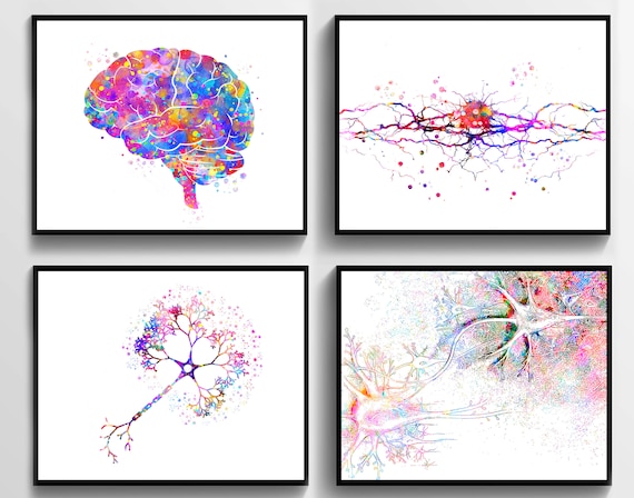 4 Neurologist Gift Anatomy Art Brain Print Medical Art Neuron Art Nerve Cell Art Synapse Art Neurology Art Science Art Doctor Office Decor