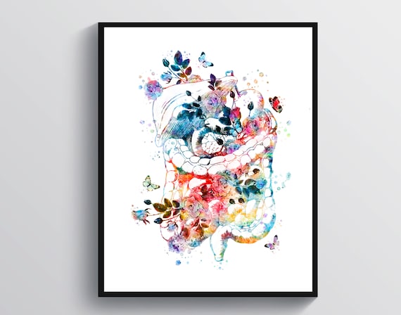 Digestive System Gastrointestinal Tract Watercolor Art Shirt Digestive System Gastrointestinal Tract Watercolor Art Shirt