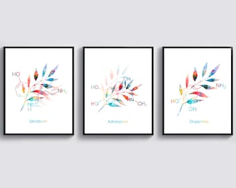 3 Chemist Gift Formula Art Organic Chemistry Poster Adrenaline Art Dopamine Art Serotonin Art Laboratory Decor Science Art Scientist Gift