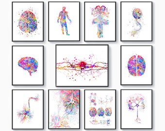 11 Neurogenetics Art, Neurology Drawing, Brain Anatomy Artwork, Neural System, Neuroscience Art, Medical Wall Decor, Neuroscientist Art Gift