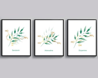 3 Organic Chemistry Posters Dopamine Serotonin Adrenaline Art Molecular Biology Art Science Art Chemist Gift Student Gift Scientist Gift