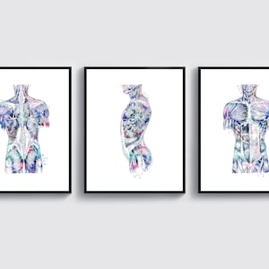3 Muscles of the Neck and Torso Art Human Anatomy Art Physiology Art Medical Artwork Physical Therapist Gift Surgeon Gift Massage Therapist