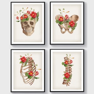 4 Floral Skeletal System Art Anatomy Art Physiology Art Medical Artwork Chiropractor Gift Osteopath Gift Orthopedist Gift Surgeon Gift
