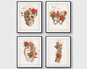 May include: Set of four anatomical prints featuring a skull, pelvis, rib cage, and spine, each adorned with red flowers.