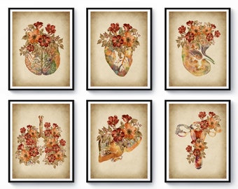 6 Antique Anatomical Drawings, Vintage Medical Art, Floral Illustrations, Anatomical Organ and Flowers Painting, Doctor Art Gift, Nurse Gift