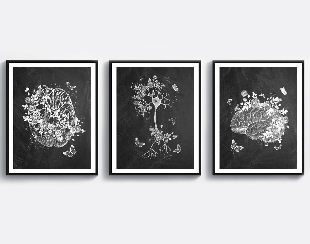 3 Neurology Art Medical Art Brain Anatomy Art Science Art - Etsy