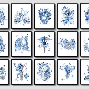 15 Aquarel Anatomie Kunstwerk Medisch Decor Wetenschap Kunst Dokter Cadeau Bloemen Hersenen Hart Longen Nier Schedel Maag Poster Klinische kunst