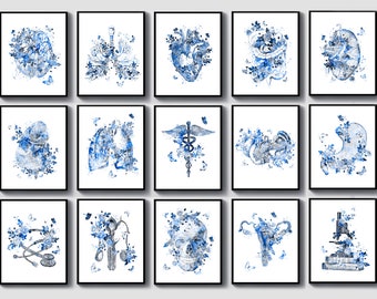 15 Watercolor Anatomy Artwork Medical Decor Science Art Doctor Gift Floral Brain Heart Lungs Kidney Skull Stomach Poster Clinical Art