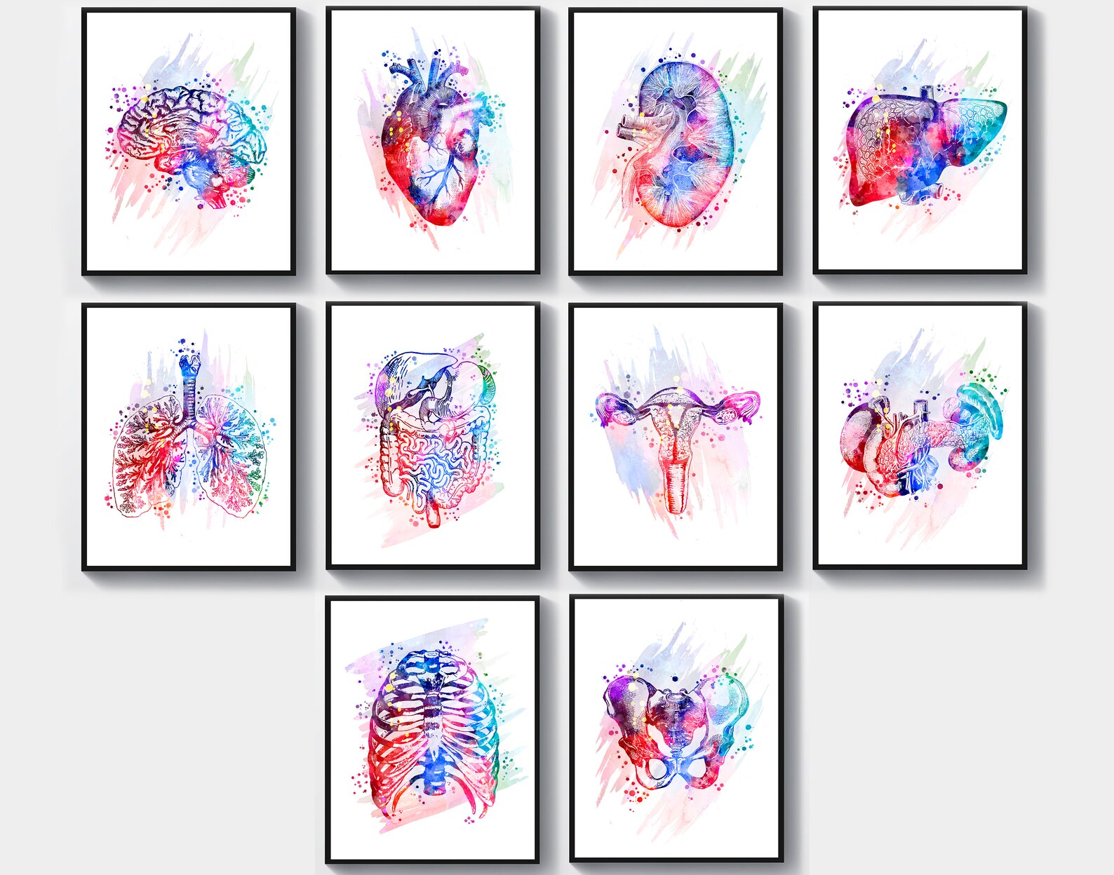10 Watercolor Anatomy Art, Medical Wall Decor, Doctor's Office Gift ...