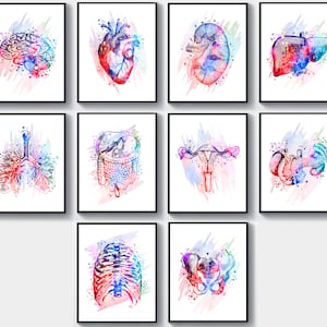 10 Watercolor Anatomy Art, Medical Wall Decor, Doctor's Office Gift, Surgeon Gift, Nurse Graduation Gift, Physiology Artwork