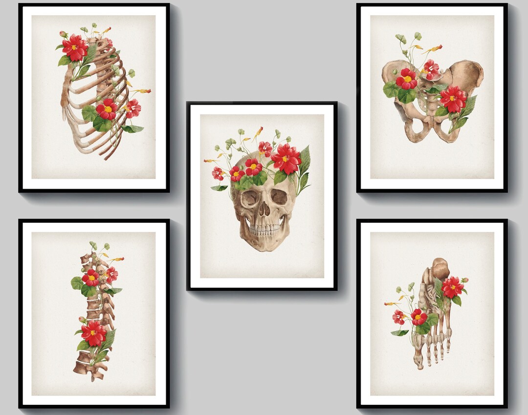 5 Vintage Anatomy Art Human Skeleton Art Physiology Art Orthopedia Art ...