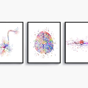 3 Neurology Art Brain Anatomy Art Nervous System Art Medical Art Neuron Cell Art Neurologist Gift Neurosurgeon Gift Neuroscientist Gift