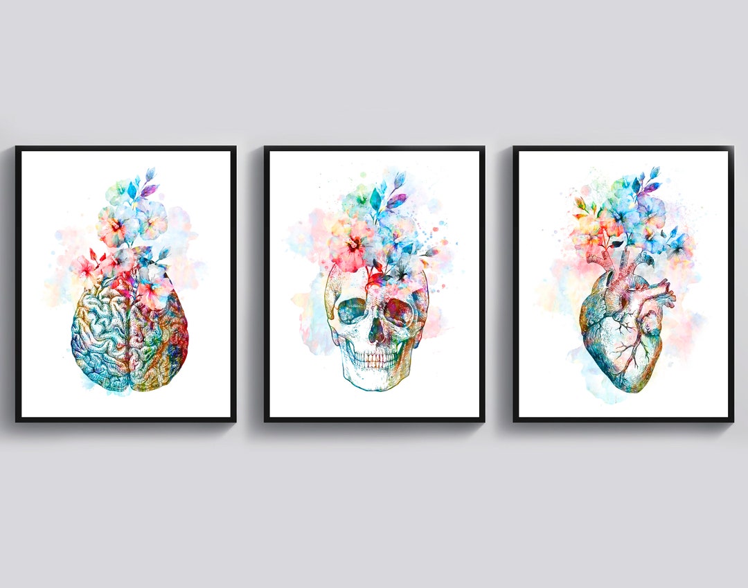 3 Watercolor Anatomy Art Doctor Gift Anatomical Heart Art Floral Skull ...