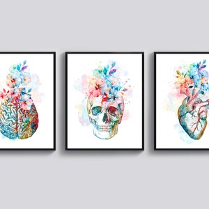 3 Watercolor Anatomy Art Doctor Gift Anatomical Heart Art Floral Skull Art Human Brain Art Nurse Graduation Med Student Gift Clinic Decor