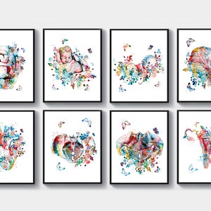 8 Arte de desarrollo fetal, póster de embarazo, arte de partería, bebé en el útero, feto floral, acuarela, dibujo de bebé recién nacido, placenta, arte del suelo pélvico