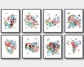 Op de afbeelding: Een set van acht ingelijste aquarelprints met anatomische illustraties. Elke print toont een ander lichaamsdeel of ontwikkelingsstadium, versierd met kleurrijke bloemen- en vlinderaccenten. De prints worden tegen een witte achtergrond weergegeven.