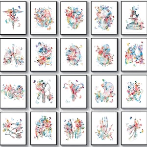 20 Watercolor Anatomy Art Medical Painting Clinical Decor Medical Diagnostics Art Anatomical Art Physiology Art Medical Office Decor