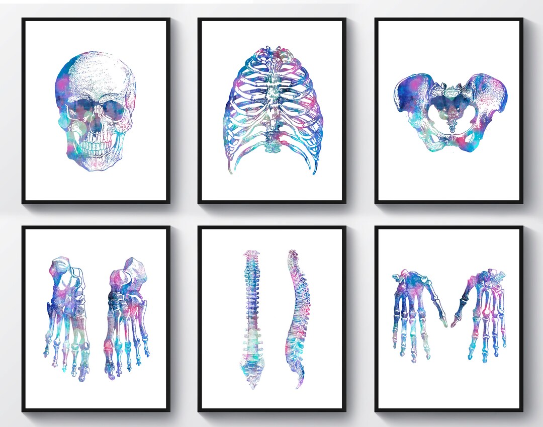 6 Watercolor Skeleton Bones Anatomy Art Chiropractor Gift Medical ...
