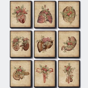 9 desenho anatômico vintage, ilustração médica antiga, presente de médico, órgão humano e flores, poster de ciências, biologia, arte, fisiologia, decoração de arte