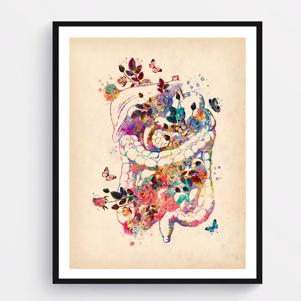 Floral Digestive System Art Vintage Anatomy Art Medical Artwork Watercolor Organs Art Human Physiology Art Gastroenterologist Gift