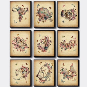 Conjunto de 9 ilustraciones de embarazo vintage, póster de obstetricia, dibujo de ginecología, arte de partería, arte ginecológico, arte de biología, obra de arte de feto en el útero, pintura infantil.