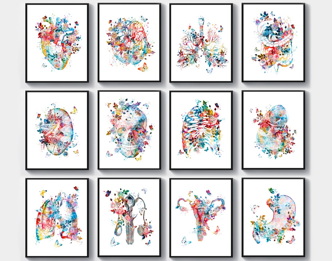 Anatomy Set 12 Watercolor Medical Art Human Anatomical Organs and ...