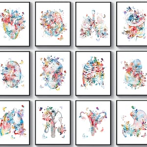 Conjunto de anatomía, 12 acuarelas, arte médico, órganos anatómicos humanos y flores, ilustraciones médicas, arte dibujado a mano, regalo para doctor, regalo para cirujano, regalo de oficina.