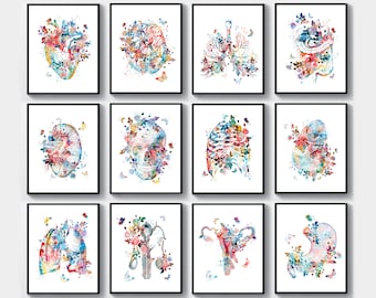 Anatomy Set 12 Watercolor Medical Art Human Anatomical Organs and flowers Medicine Artwork Hand drawn art Doctor gift Surgeon Office Gift