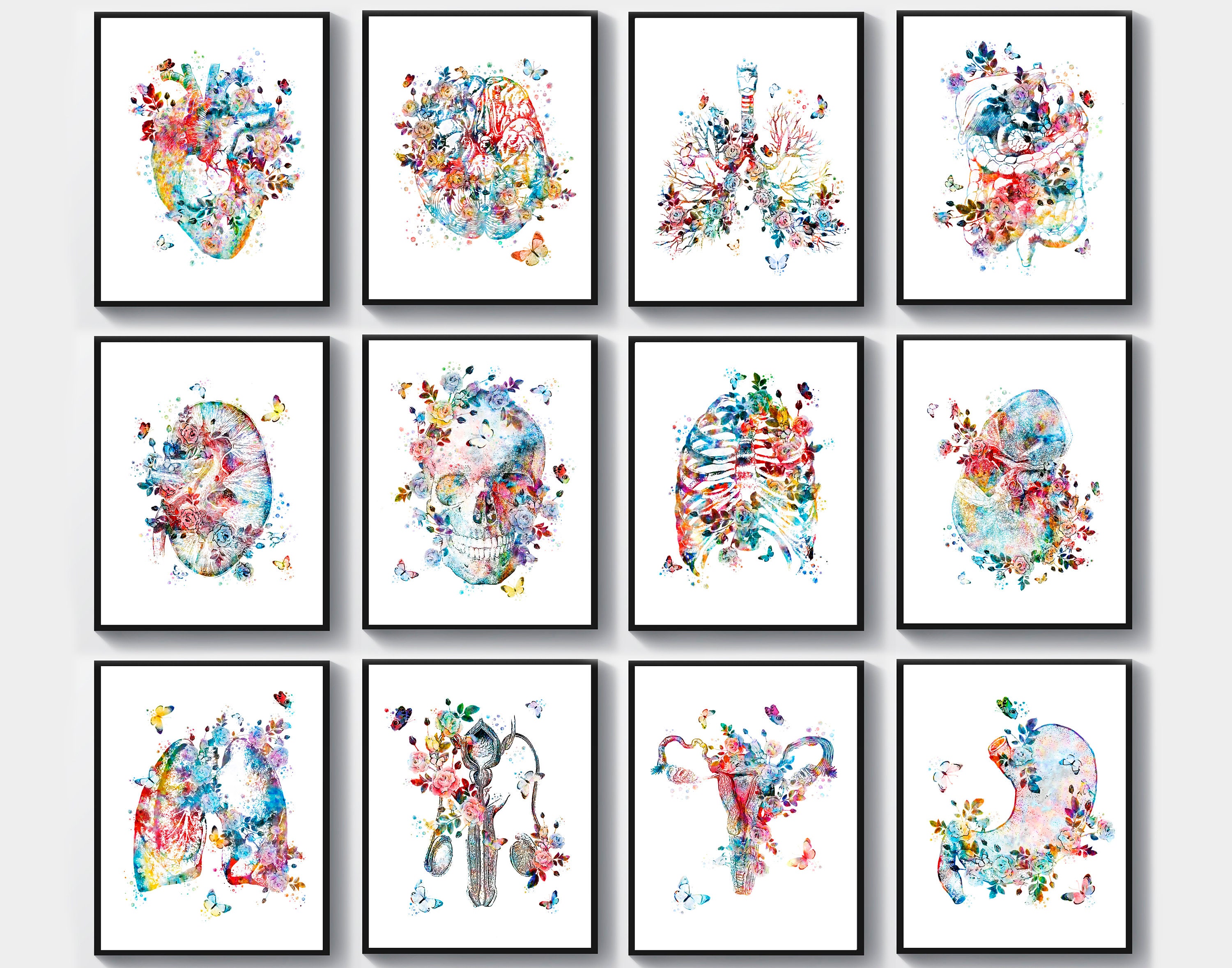 Anatomy Set 12 Watercolor Medical Art Human Anatomical Organs and ...