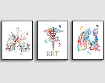 3 Regalos para terapeutas respiratorios registrados Arte médico Arte de anatomía pulmonar Póster del sistema respiratorio Arte del árbol bronquial Arte anatómico de los pulmones