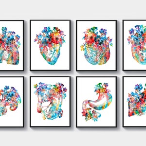 8 aquarel anatomie kunst chirurgie poster chirurg cadeau medisch kunstwerk anatomische hart kunst bloemen longen kunst hersenen kunst nier kunst kliniek decor