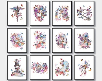 12 Watercolor anatomy art, Physiology Art, Floral anatomy artwork, Physical therapy wall art, Caduceus art, Syringe art, Stethoscope art
