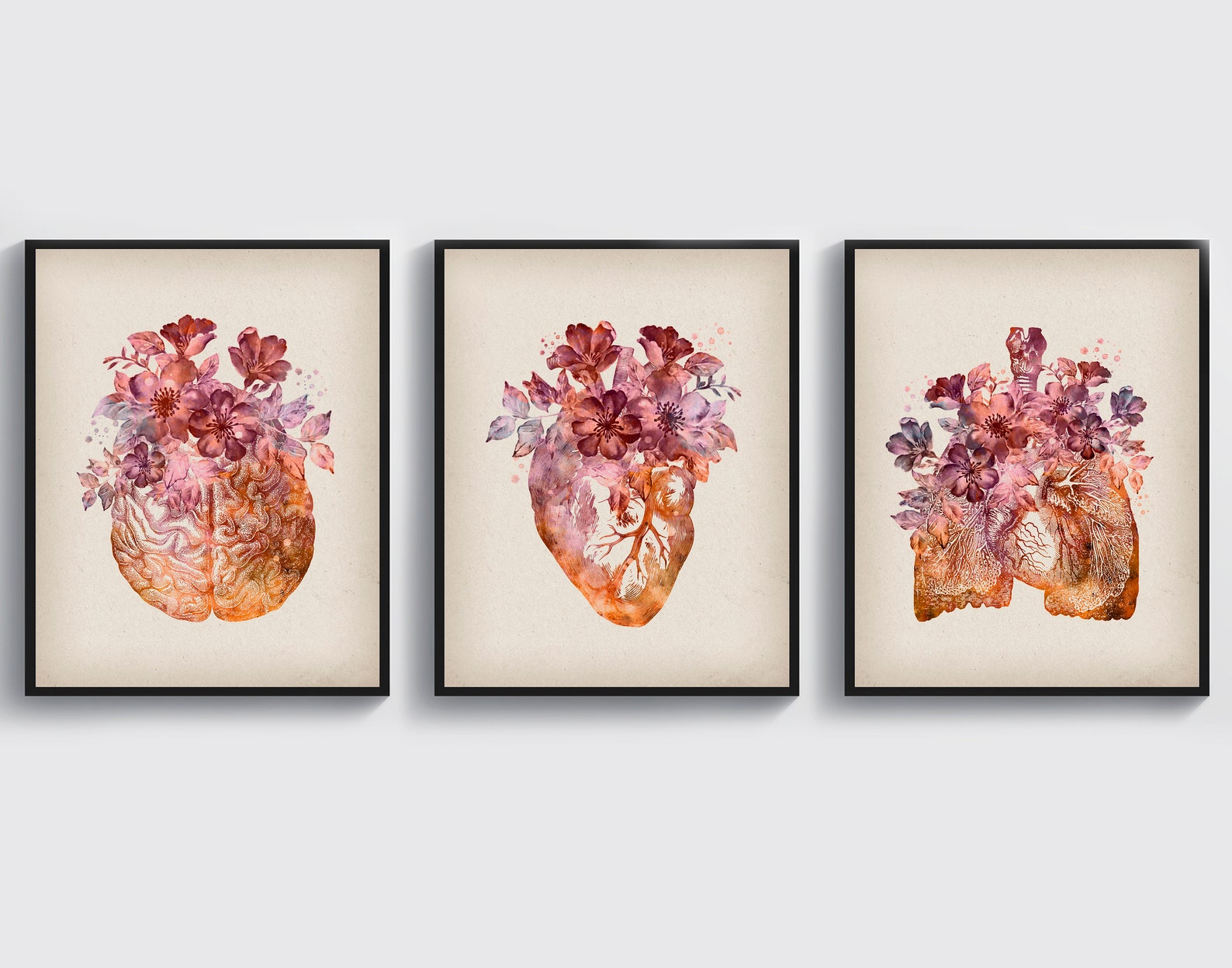 Set 3 Vintage Anatomy Art Medical Decor Doctor Gift Anatomical Etsy
