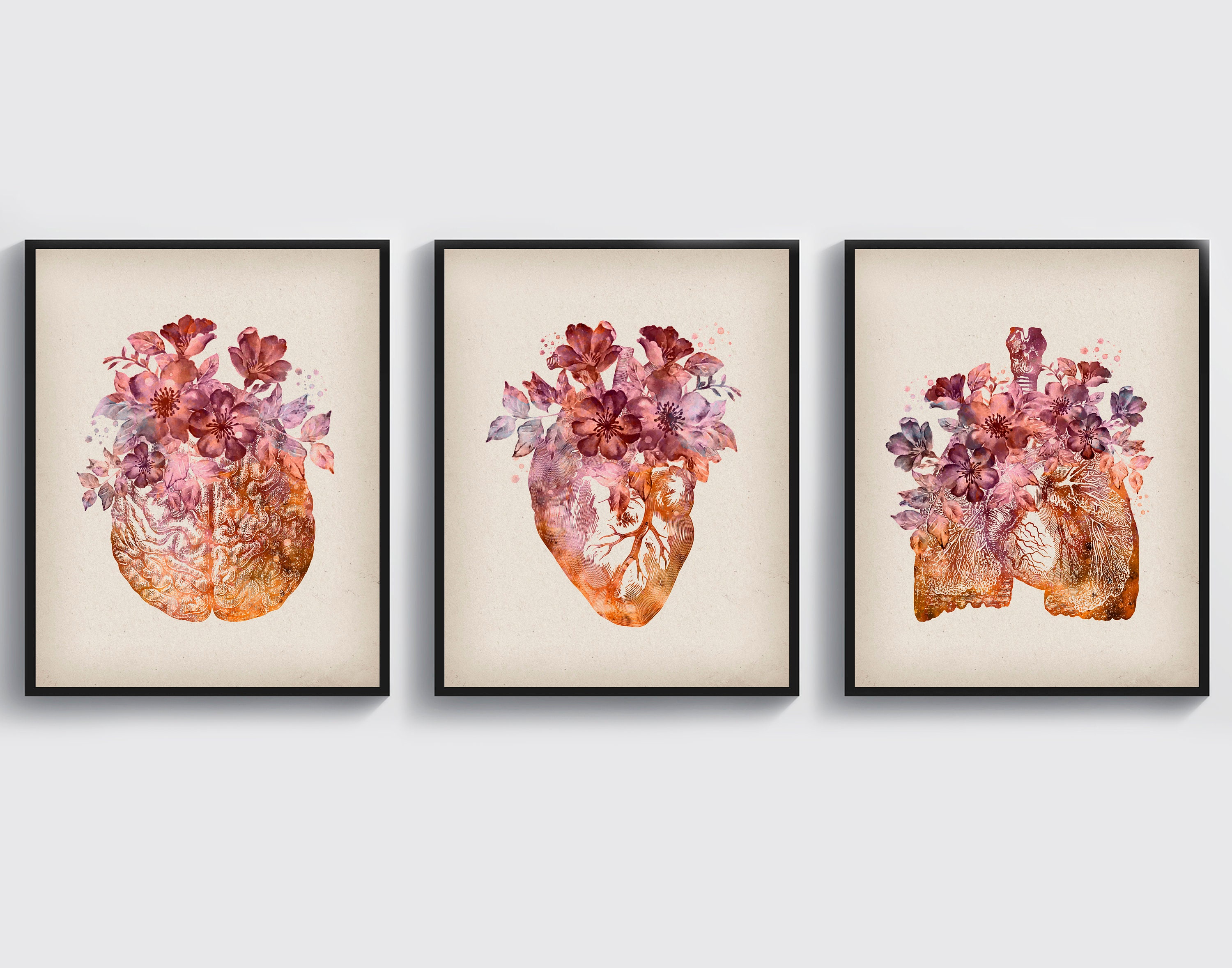 3 Vintage Anatomy Art Medical Art Organ and Roses Art Anatomical Heart ...