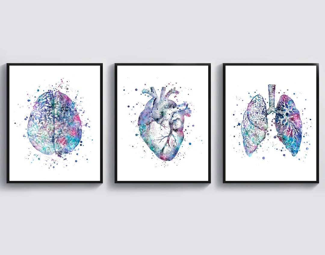 3 Doctor Gift Watercolor Anatomy Art Medical Artwork Human Brain Art ...