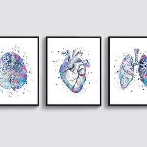 May include: Three framed watercolor prints of human anatomy: a brain, a heart, and lungs. Each print features a colorful, splattered design with shades of blue, purple, and pink against a white background. The frames are black.