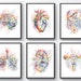 see more listings in the Medical art section