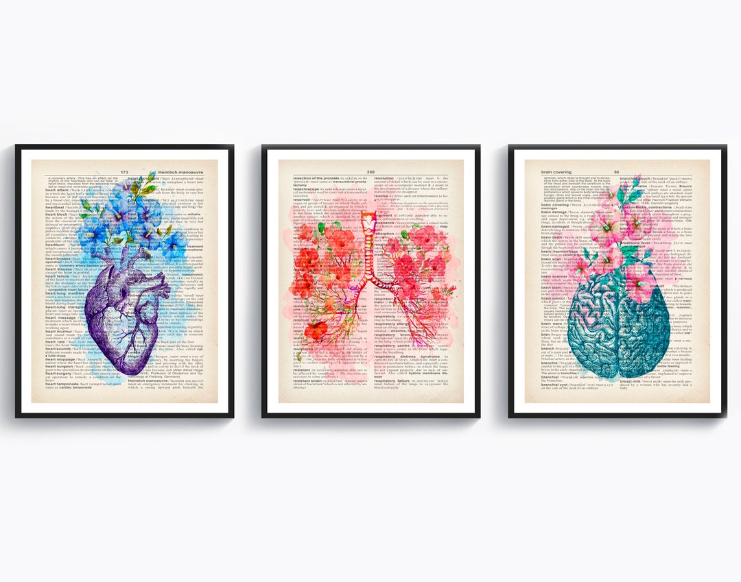 Set 3 Watercolor Anatomy Art, Anatomical Organ Drawing, Medical Art ...