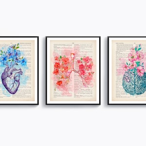 Set 3 Watercolor anatomy art, Anatomical Organ drawing, Medical art, Vintage dictionary page, Clinic wall decor, Medical cabinet, Doctor art
