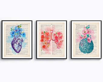 Set 3 Watercolor anatomy art, Anatomical Organ drawing, Medical art, Vintage dictionary page, Clinic wall decor, Medical cabinet, Doctor art